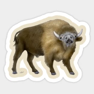 American Bison Sticker